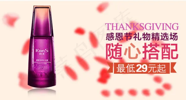 感恩节促销