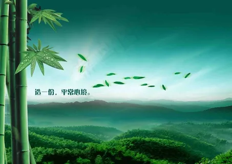竹子 竹子