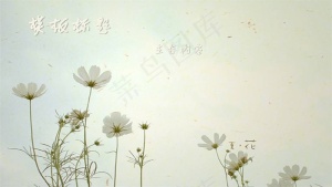 生如夏花唯美PPT模板预览图