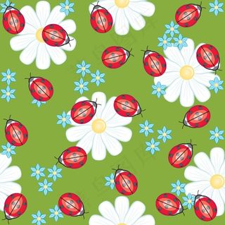 七星瓢虫与花朵矢量图