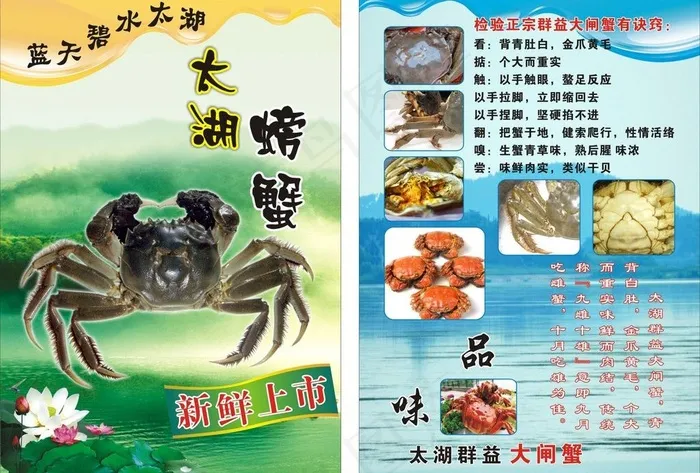 大闸蟹海报图片cdr矢量模版下载