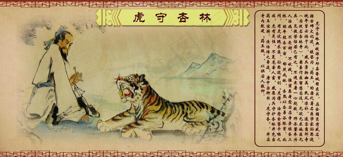 虎守杏林图片