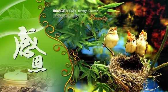 教师节图片素材