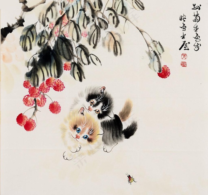 荔枝藤下的猫儿图片