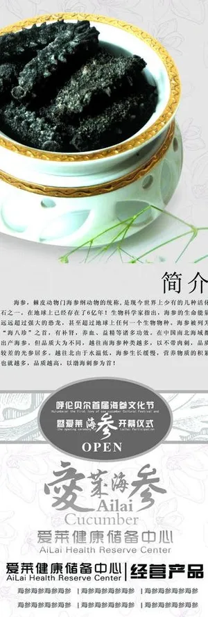 精品爱莱养身易拉宝展架图片