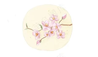 原创手绘水彩樱花桃花PSD