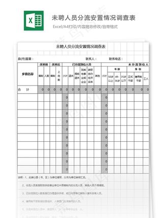 未聘人员分流安置情况调查表格