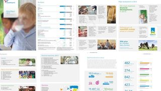 皇家牛奶产品手册图片