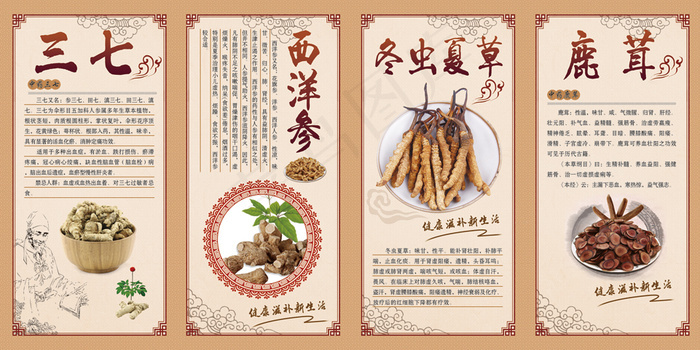 名贵中药展板(6917X3458(DPI:72))psd模版下载