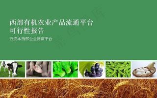 农产品流通平台可行性报告PPT