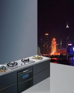 华丽厨房图片 华丽厨房图片