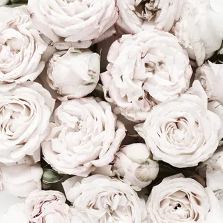 简约小清新文艺风插花静物摆拍背景