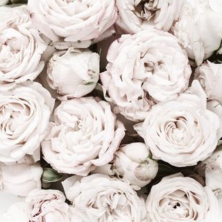 简约小清新文艺风插花静物摆拍背景