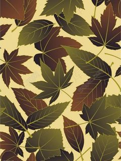 日本花纹图案图片