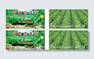 蔬菜种子名片图片