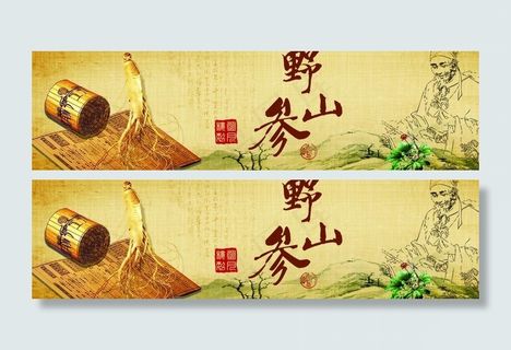 野山参海报图片