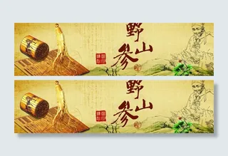 野山参海报图片