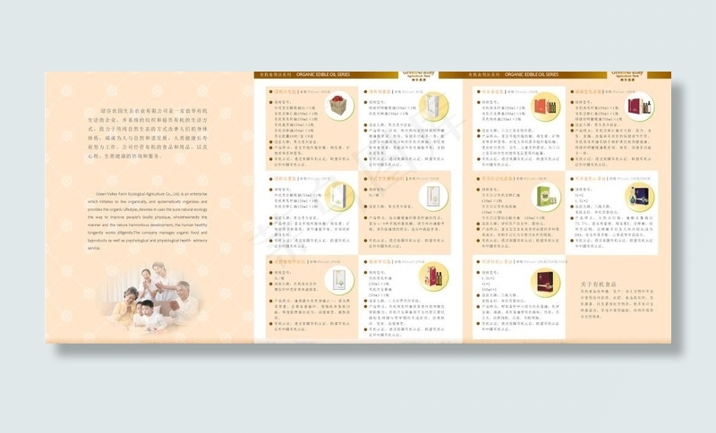 三折页设计图片ai矢量模版下载