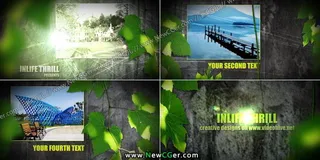 绿叶掩盖中的墙壁照片AE展示模板