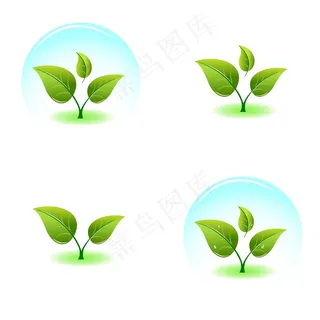 年轻的绿色植物