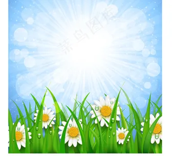 绿叶洋甘菊矢量素材