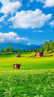 蓝天白云下草原上的木屋高清摄影图片