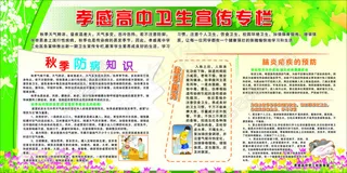 卫生宣传专栏