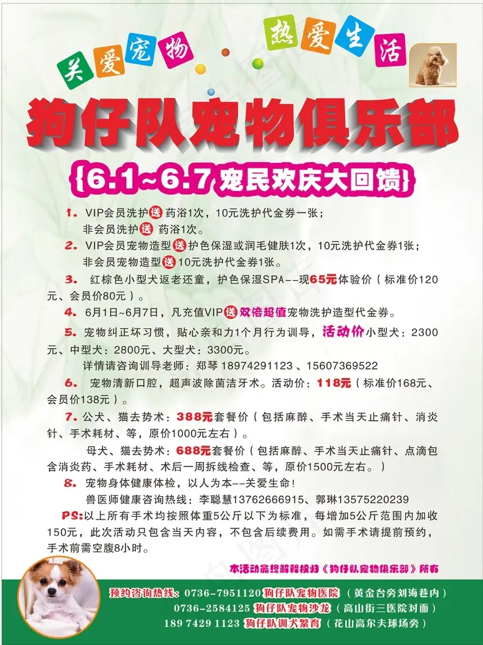 狗仔队宠物　宠宠物宣传单狗仔队宣传...cdr矢量模版下载