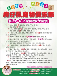 狗仔队宠物　宠宠物宣传单狗仔队宣传...