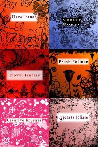 一组花叶、星光Photoshop笔...