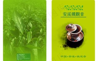 茶叶画册封面图片