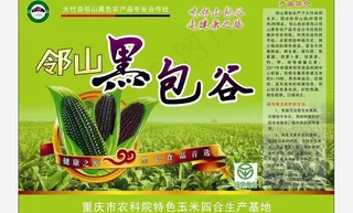 玉米包装图片