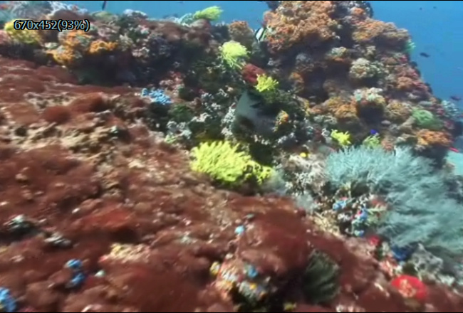 梦幻海底世界