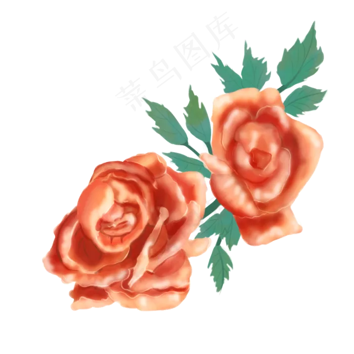 玫瑰花矢量图psd模版下载