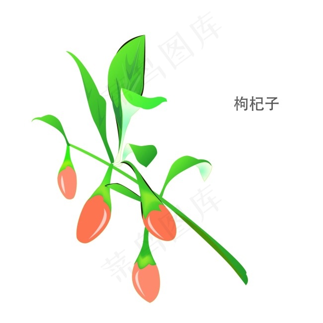 枸杞矢量ai矢量模版下载