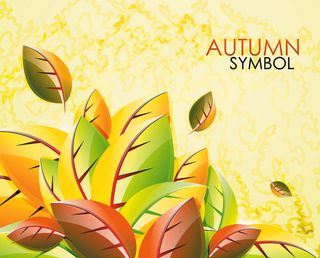 季节树叶象征矢量素材