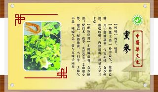 中医长廊之药材篇图片