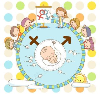 健康生育学习图片