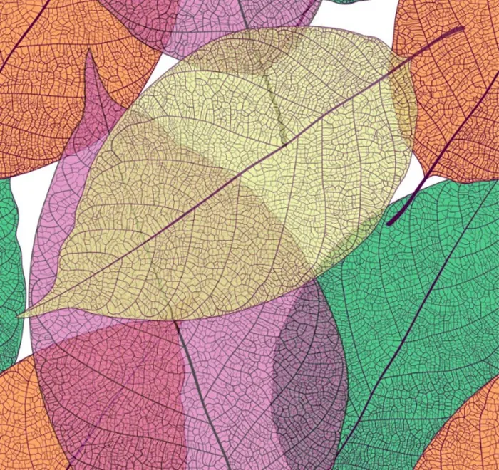 树叶ai矢量模版下载