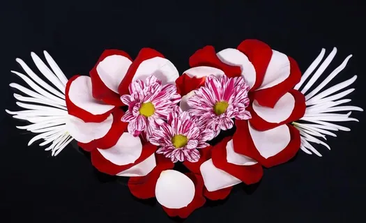 玫瑰花瓣图片 玫瑰花瓣图片