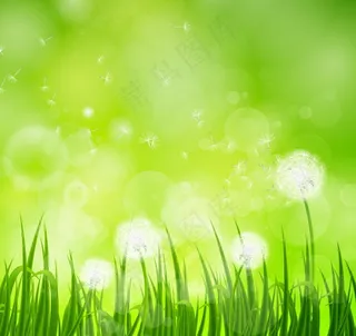 春天鲜花草地图片