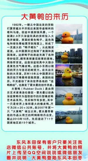大黄鸭易拉宝图片