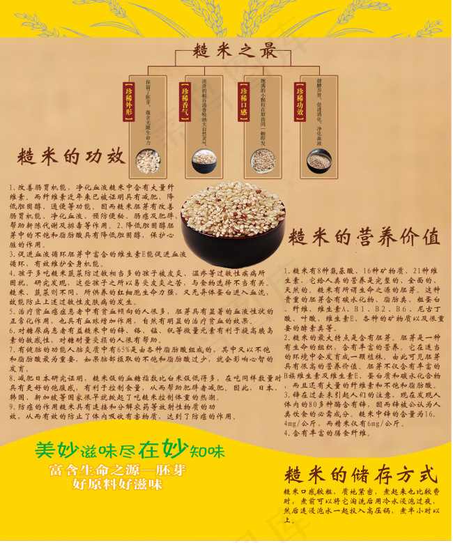 糙米psd模版下载