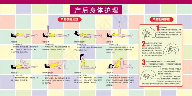 产妇 产后身体护理cdr矢量模版下载