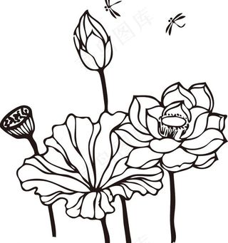 荷花蜻蜓图片