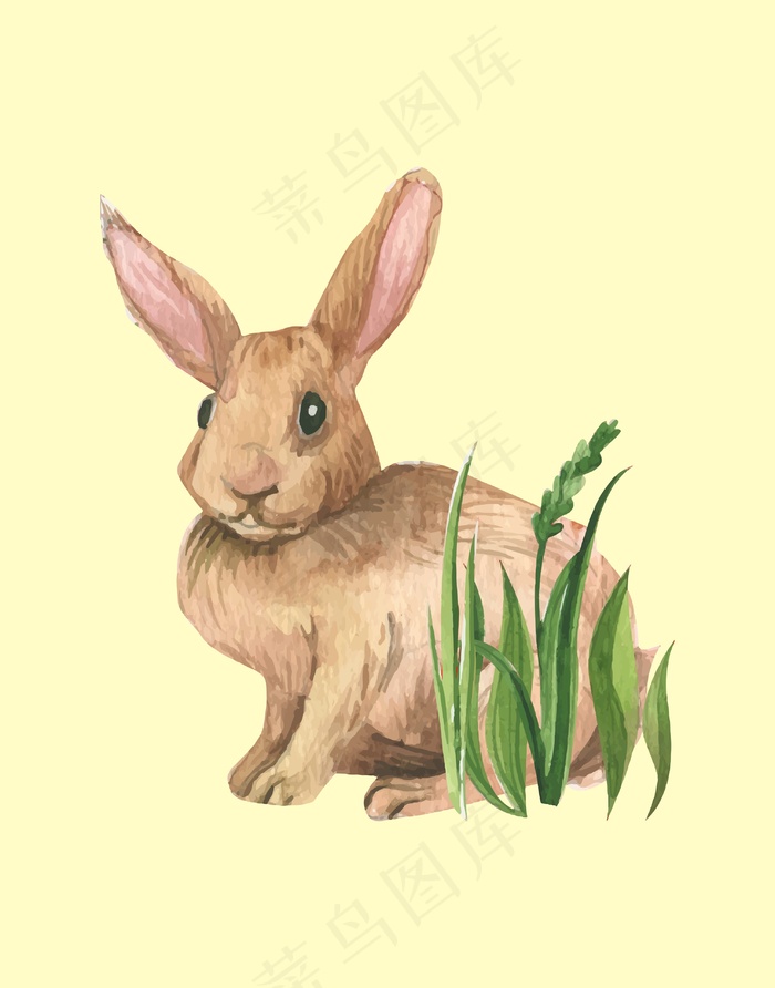 卡通动物兔子