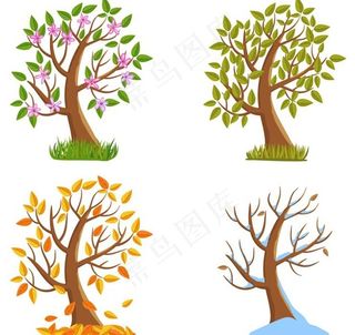 春夏秋冬四季 大树 树