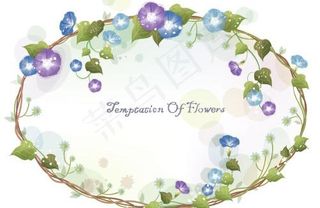 韩国植物装饰边框矢量图32