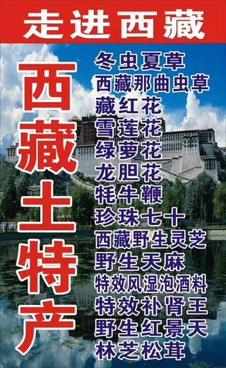 西藏土特产