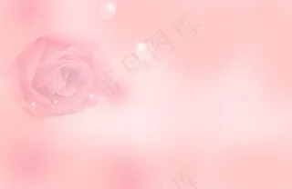 粉色玫瑰底纹